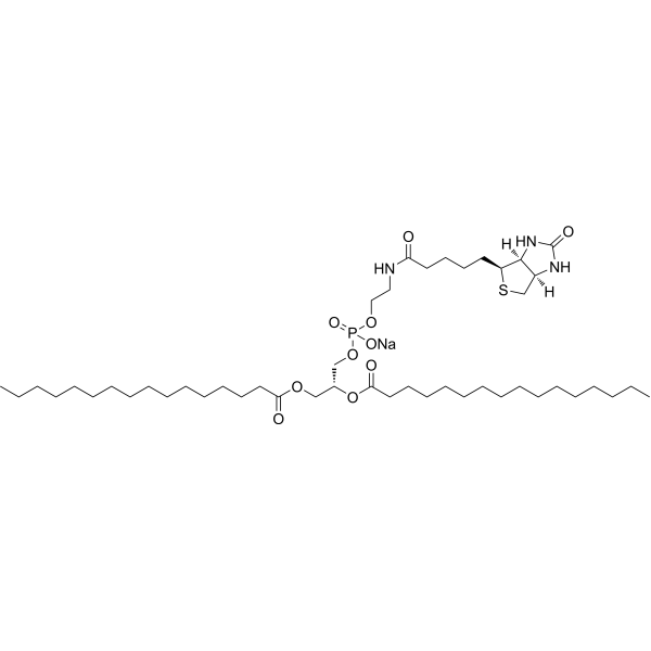 16:0 Biotinyl PE 384835-54-5